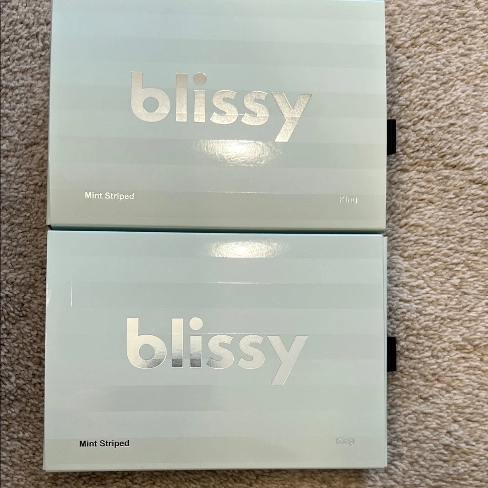 Blissy Mint Green 2 Striped King Size Pillowcases - Picture 1 of 7